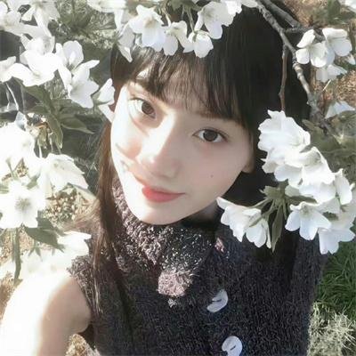 刁蛮小姐